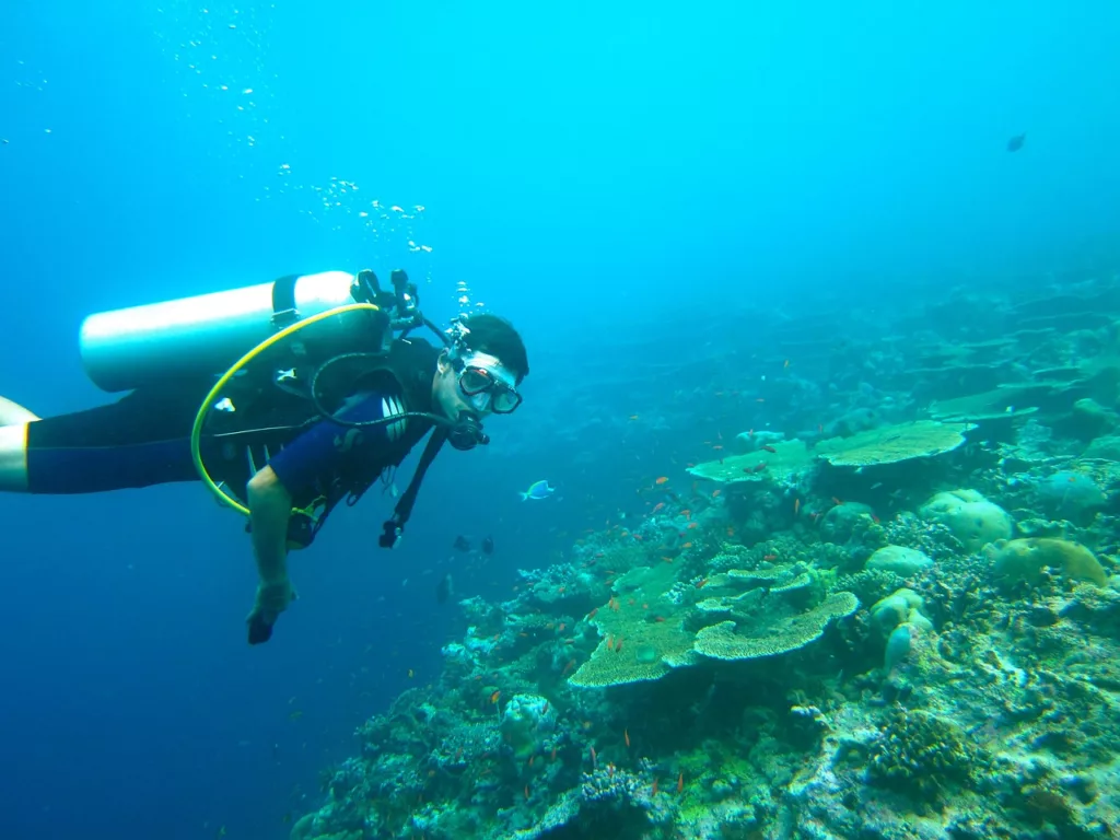 How to Prevent Ear Injury when Scuba Diving