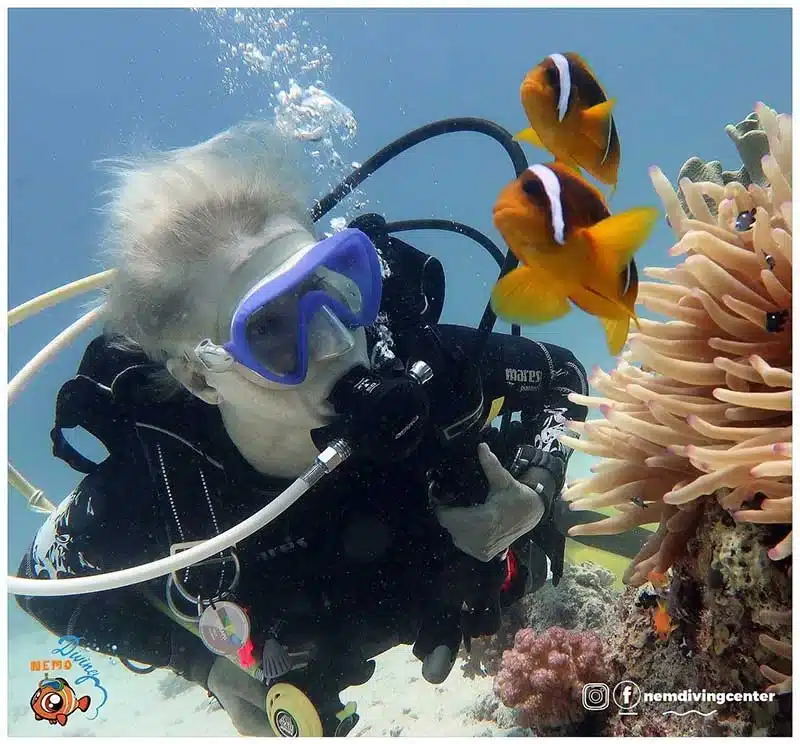 Go drift diving in Musandam, ride the current past dramatic drop-offs, coral walls, and pelagic life on an overnight trip with Nemo Diving Center.