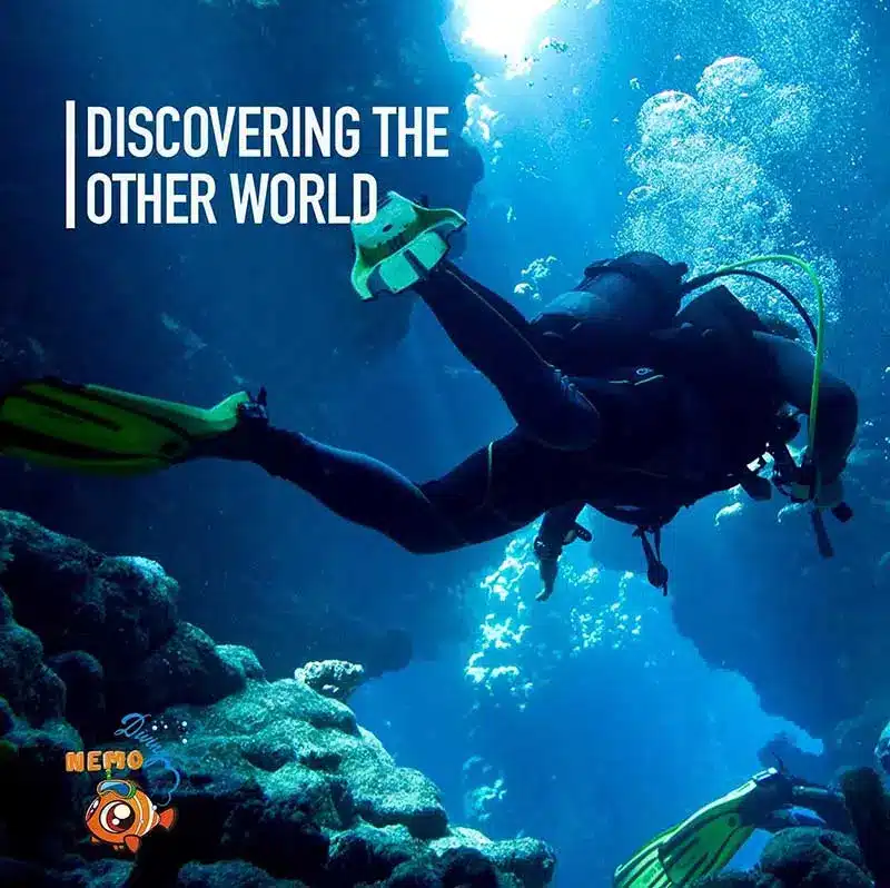 discover the underwater world