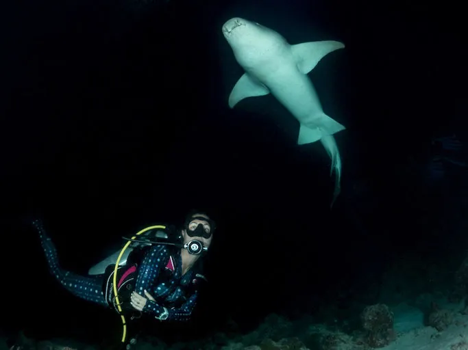 night scuba diving UAE
