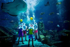 Musandam Dhow Adventure and Marine Life Encounters