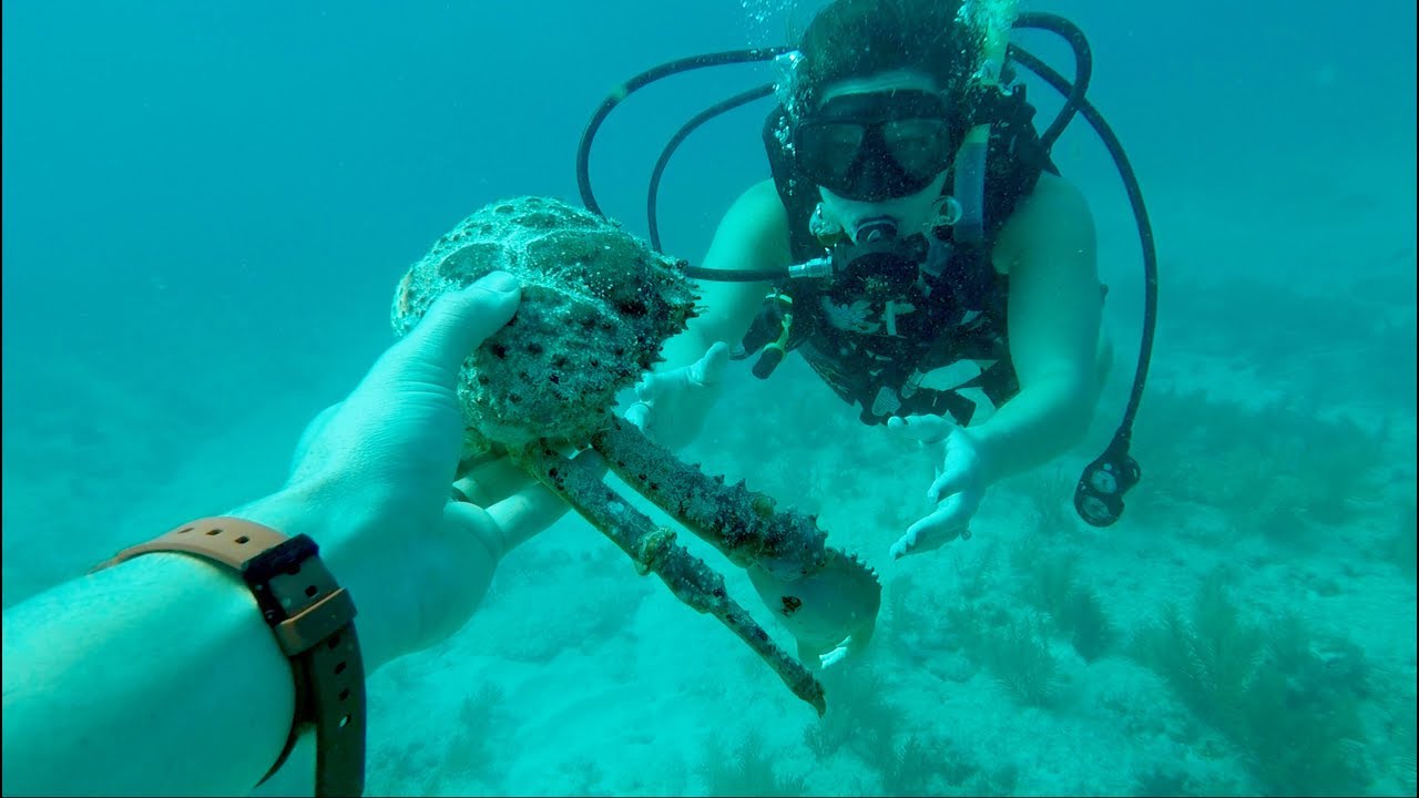 florida scuba diving