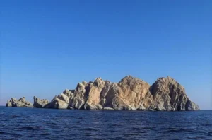 Everything you need to plan Musandam diving, top dive sites, marine life, drift diving, dhow trips, and travel requirements in one complete guide.