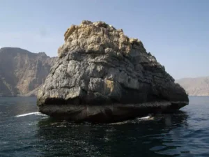 Everything you need to plan Musandam diving, top dive sites, marine life, drift diving, dhow trips, and travel requirements in one complete guide.