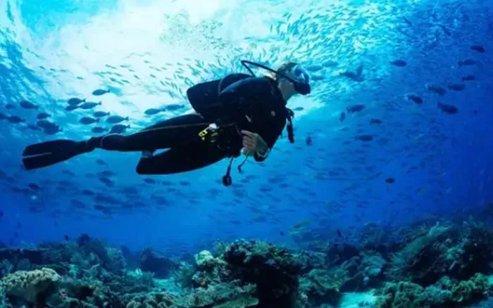 What Maximum Depth Can Scuba Divers Go