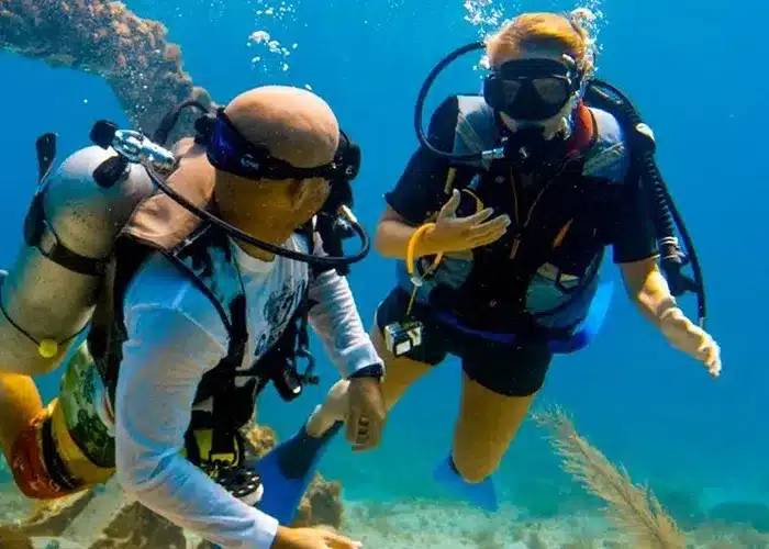 nemo diving discover scuba