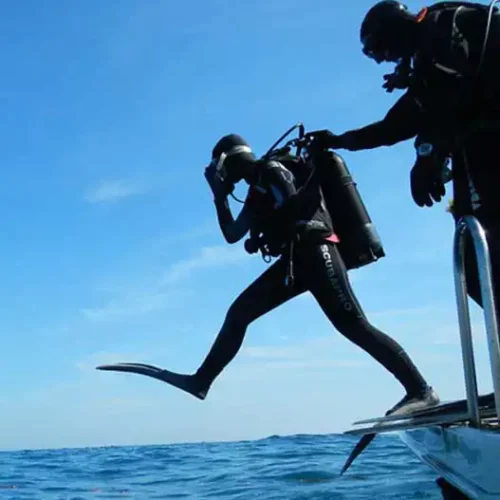 Open Water Course + Advanced Course