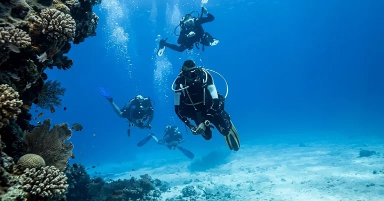 Open Water Course + Fujairah Dive Trip | Nemo Diving