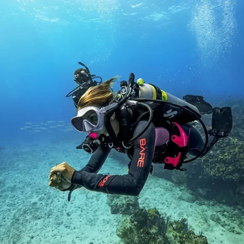 PADI Deep Diver Specialty Courses in Dubai