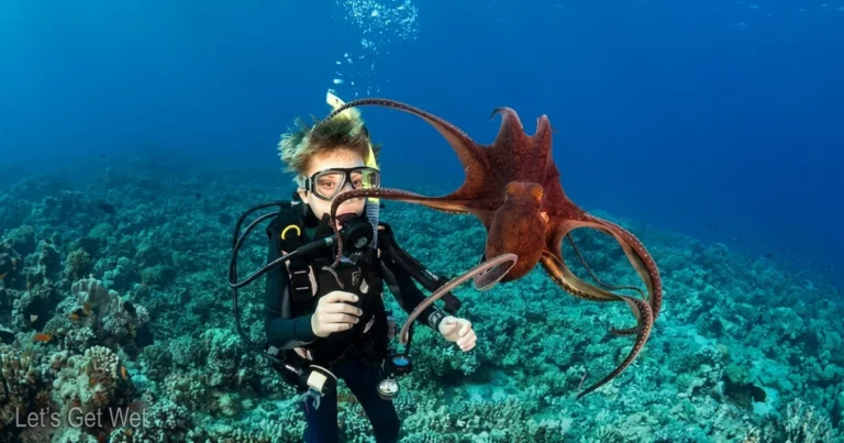 A kid enjoying PADI Master Seal Team Dubai | Kids Scuba, AED 1,500 | Nemo
