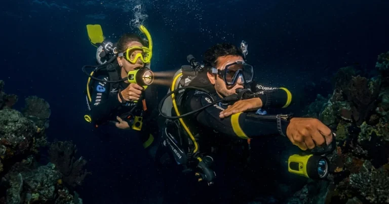 2 divers enjoying PADI Night Diver Specialty Course Dubai | AED 1,400 | Nemo