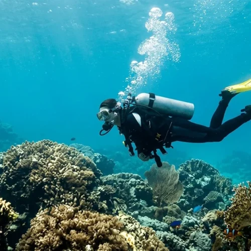 PADI Open Water Diving Course in Dubai