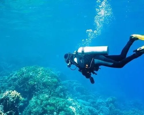 PADI Open Water Diving Course