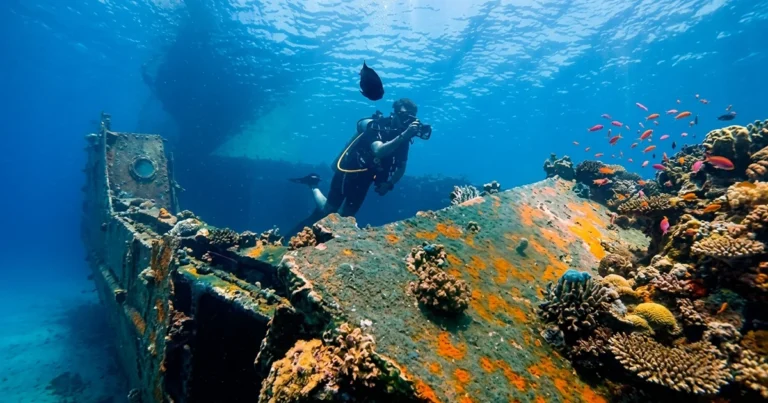 A diver enjoying PADI Underwater Navigator Course Dubai | AED 750 | Nemo