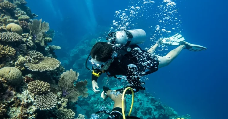 A diver enjoying PADI Wreck Diver Specialty Course Dubai