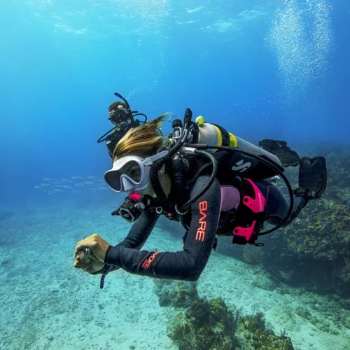 Deep Diver Specialty