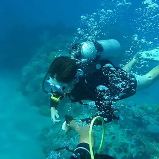 Wreck Diver