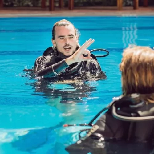 nemo basic scuba diving