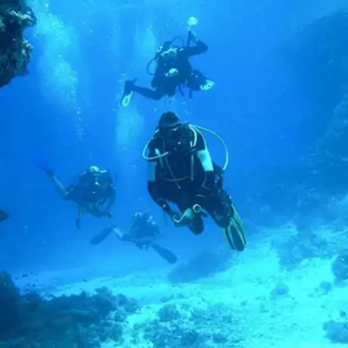 Open Water + 1 Trip In Fujairah