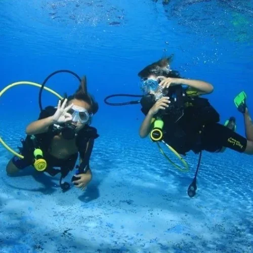 Seal Team