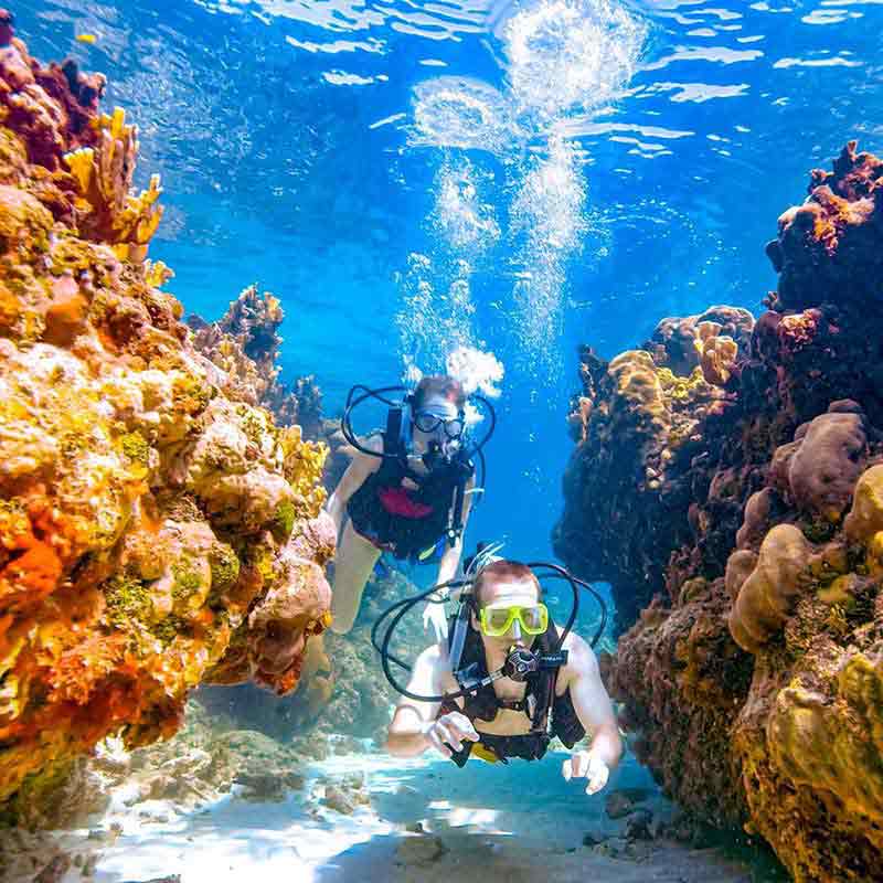 Start your Scuba Diving Journey in Dubai