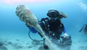 Underwater cleaning