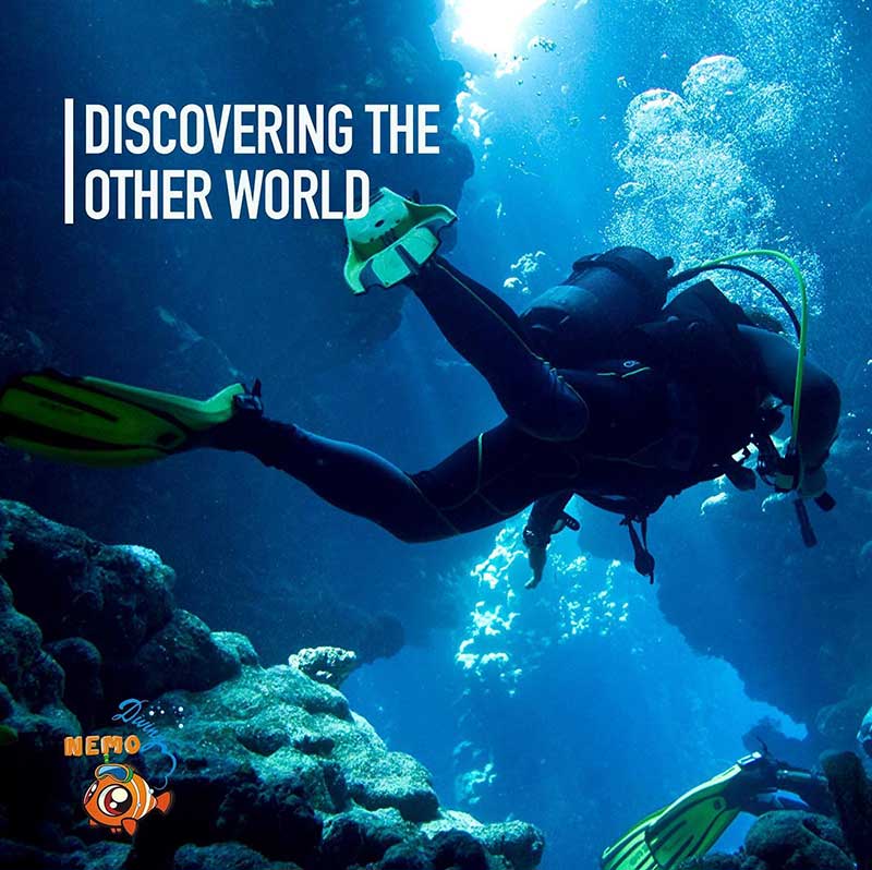 discover the underwater world
