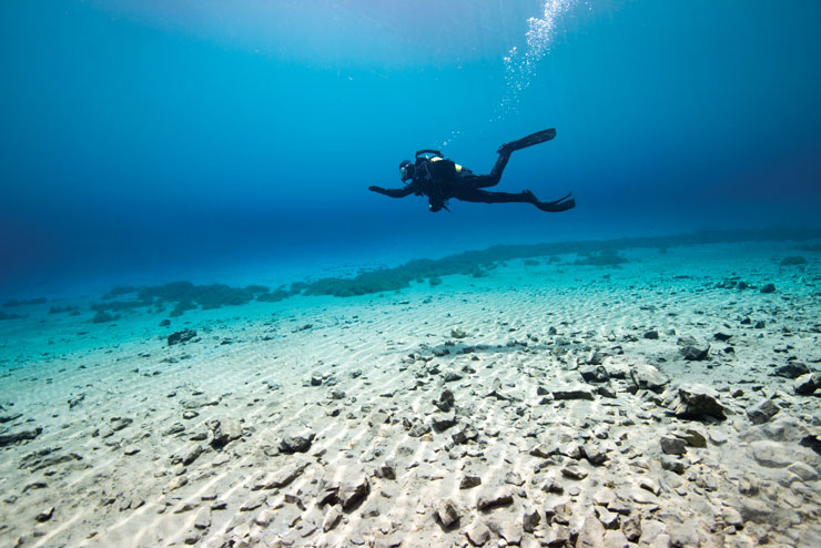 diver swimming sea floor