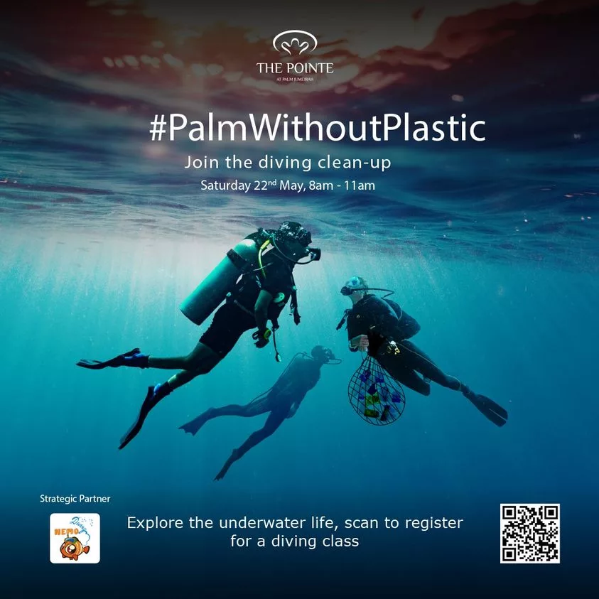 palm without plastic