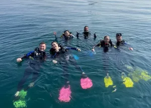 Morning Dive Trip in Dibba Al Fujairah