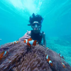 Snorkeling Trip in Dibba Al Fujairah