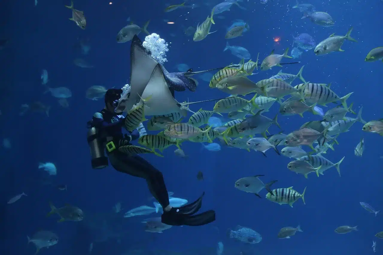 What to Expect When Scuba Diving in the UAE