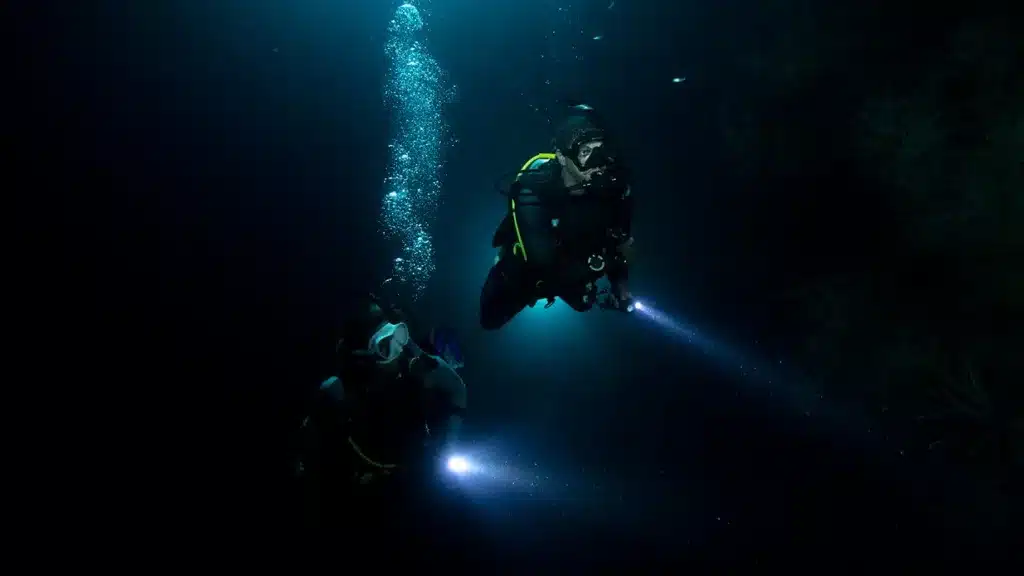 Come and join our night dive