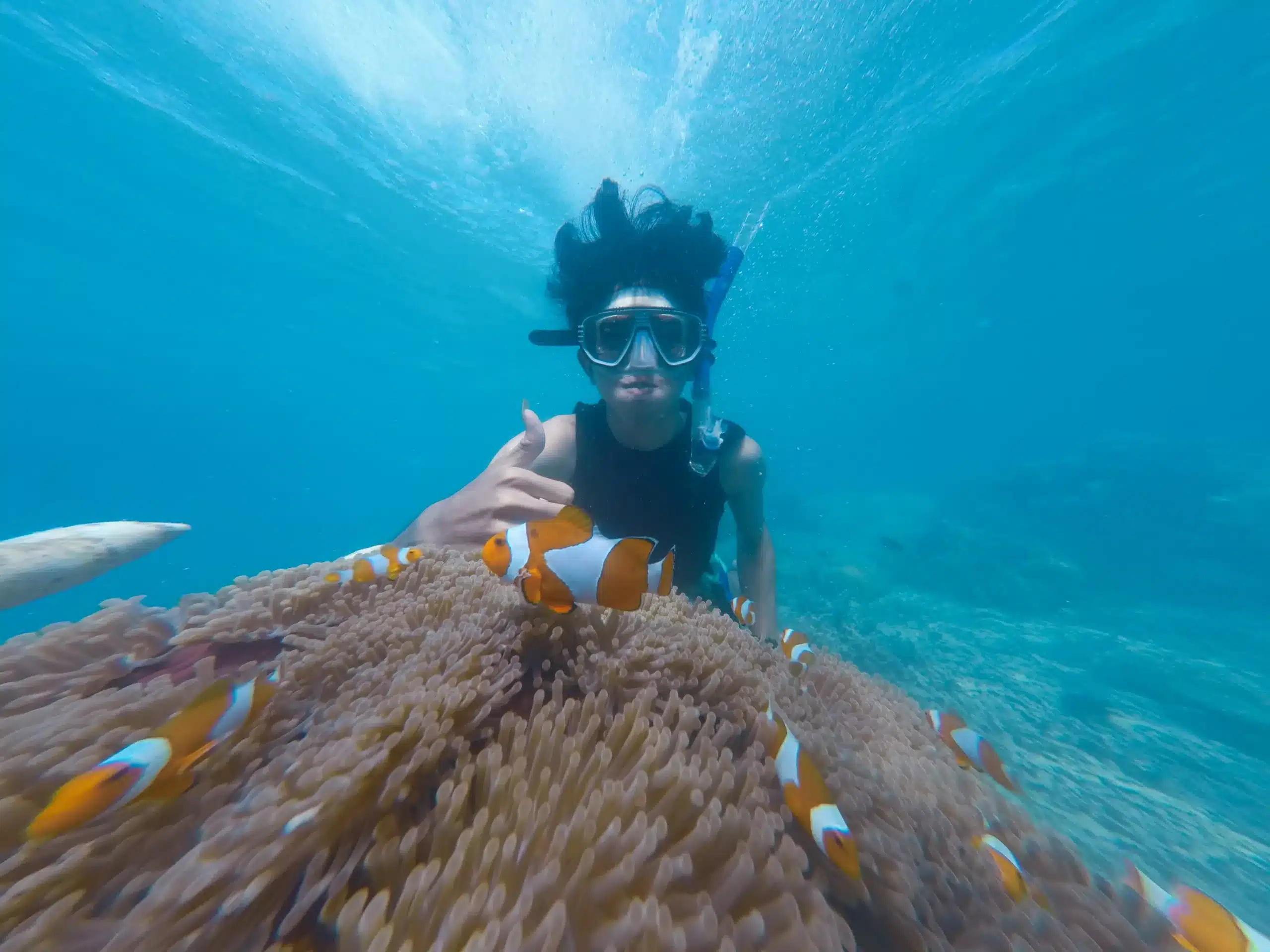 Dubai's Thriving Underwater World: A Scuba Diver's Paradise