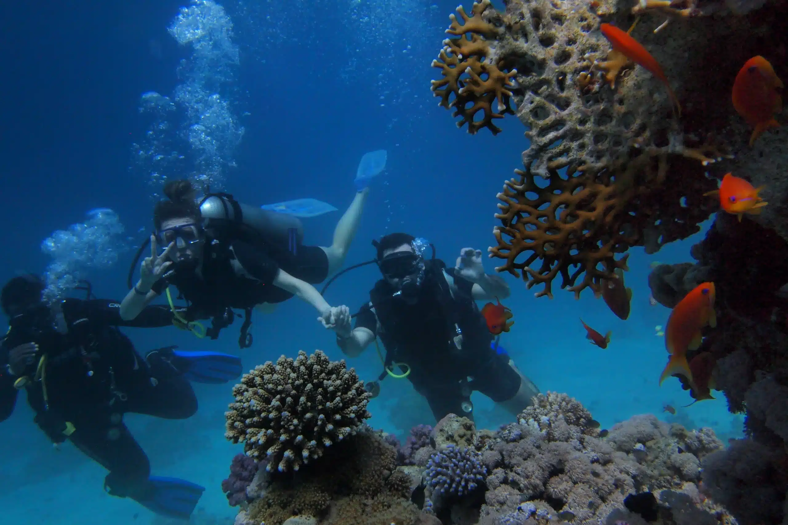 Deep Diving in Dubai 101