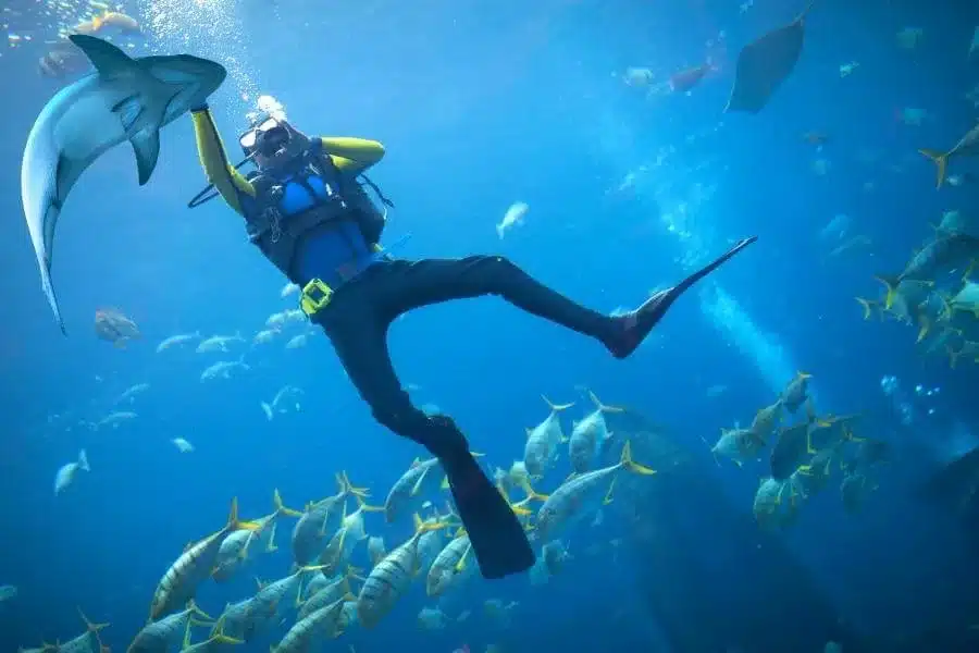 Diving Safety Fujairah: Essential Tips & Guidelines