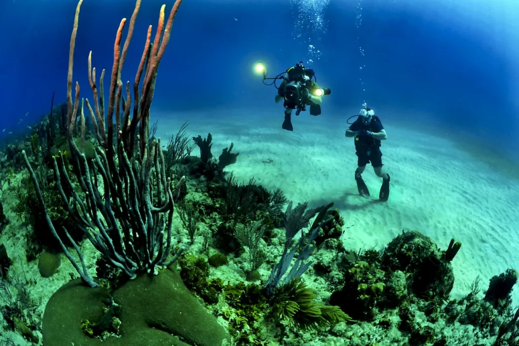 Unlocking the Ocean's Secrets: Your First Discovery Scuba Experience