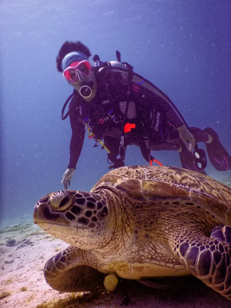Exclusive Diving Experiences in Dubai