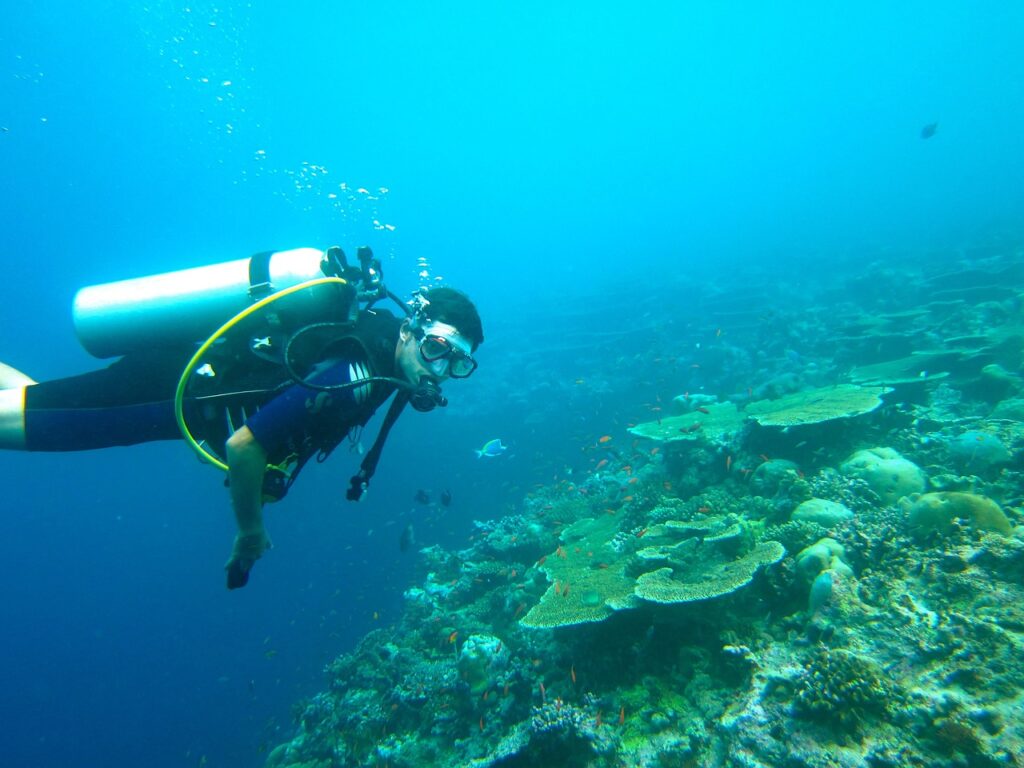 Discover the Top Free Diving Spots in Dubai: Unveiling the Best Locations for Underwater Adventures