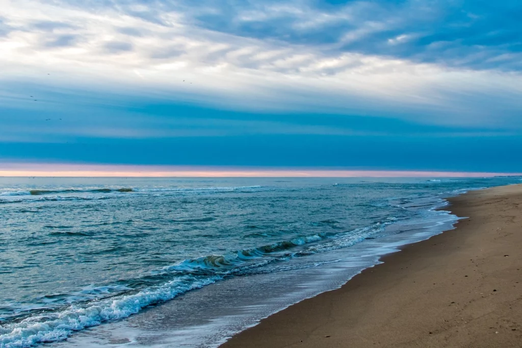 Top 10 Scuba Diving Spots Fujairah and Dubai for Every Level