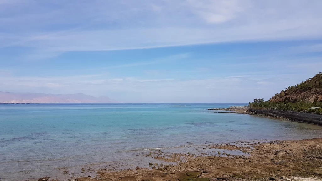 Top 10 Scuba Diving Spots Fujairah and Dubai for Every Level

