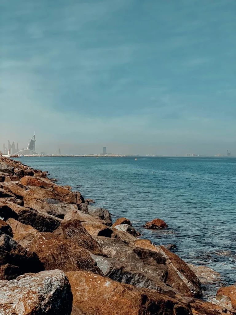 Top 10 Scuba Diving Spots Fujairah and Dubai for Every Level

