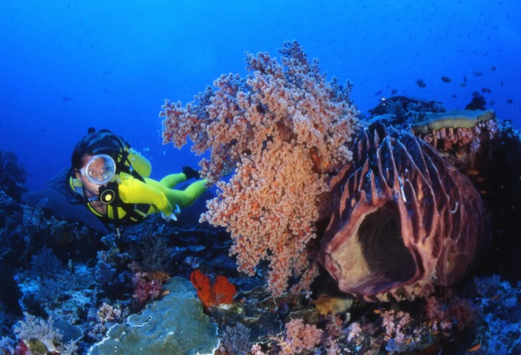 5 Things You Can Learn Deep Dive Dubai