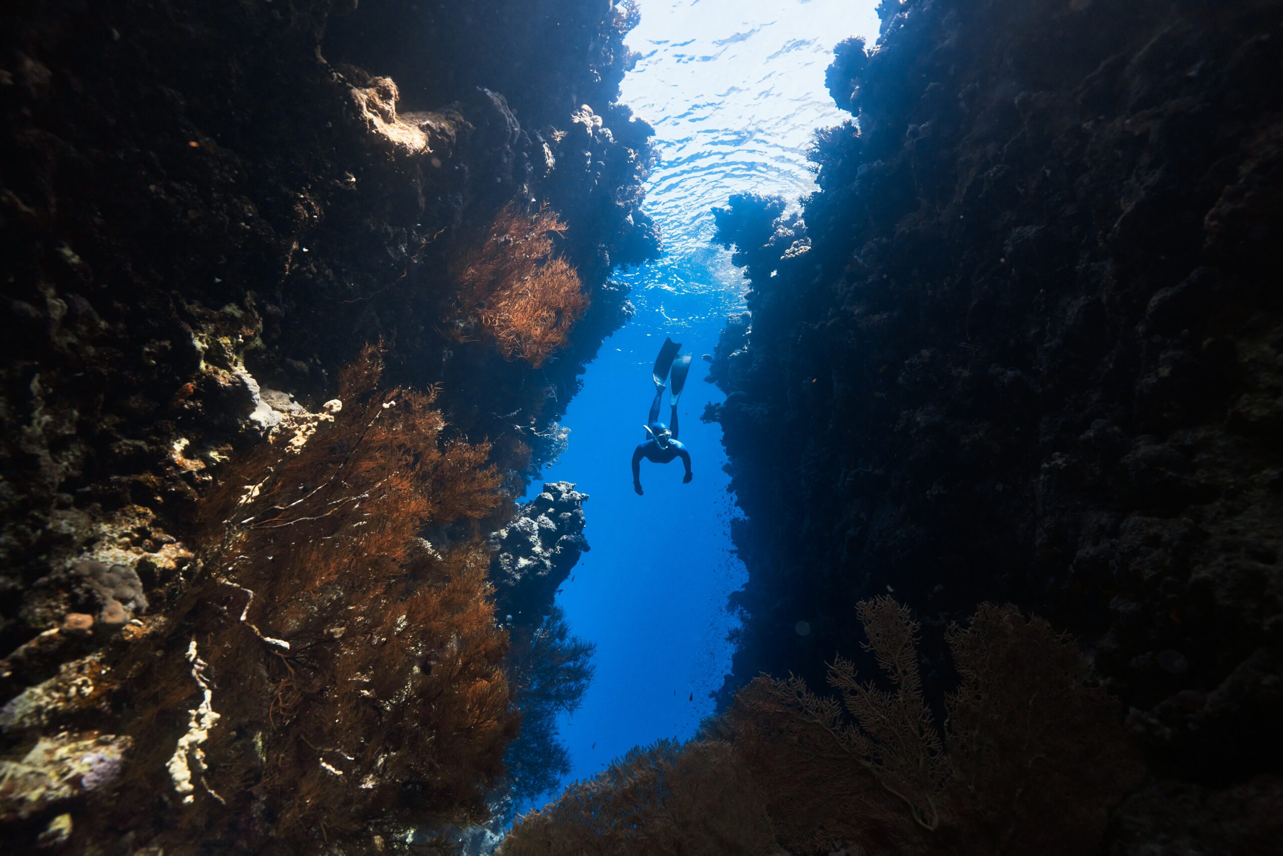 Environmental Impact of Scuba Diving and How to Dive Responsibly