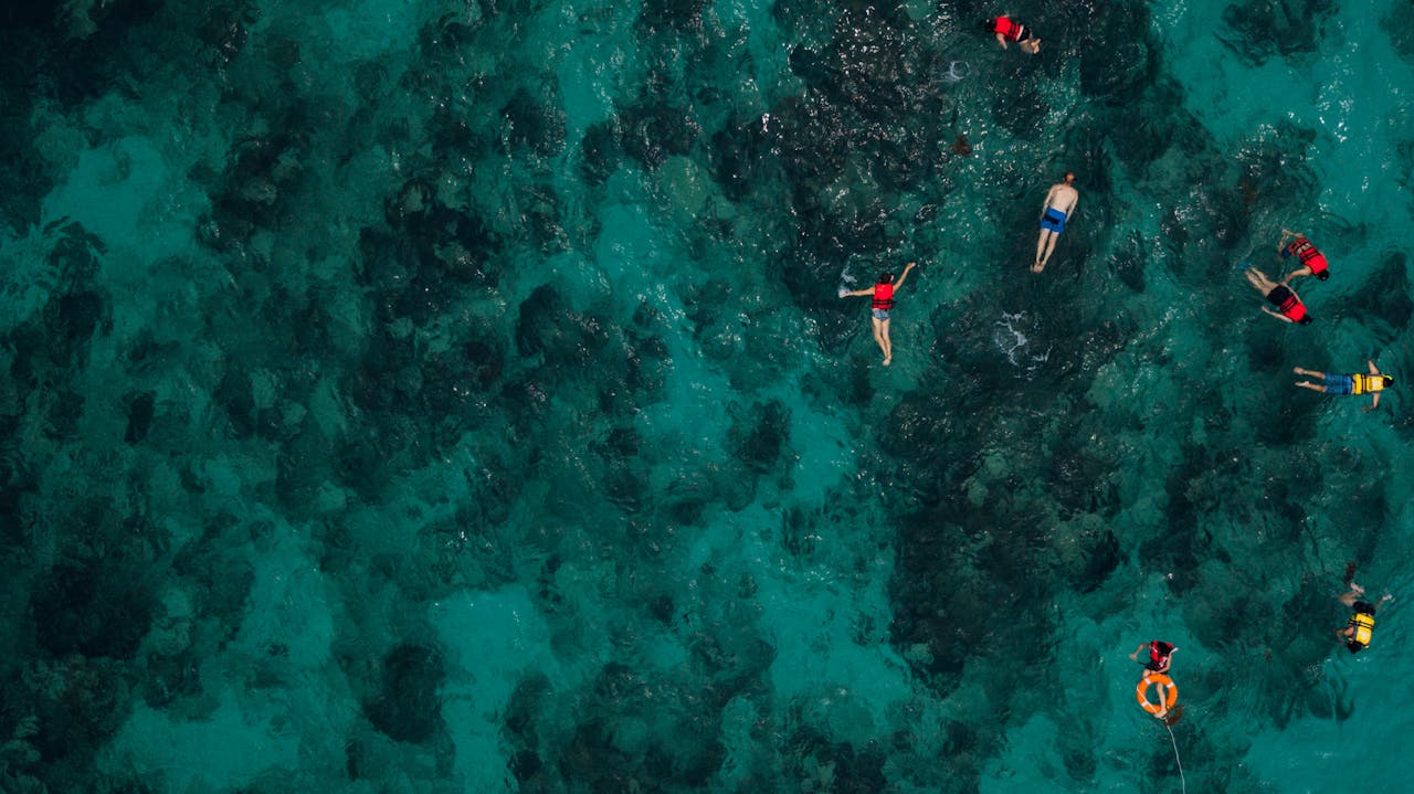 valentine's day diving