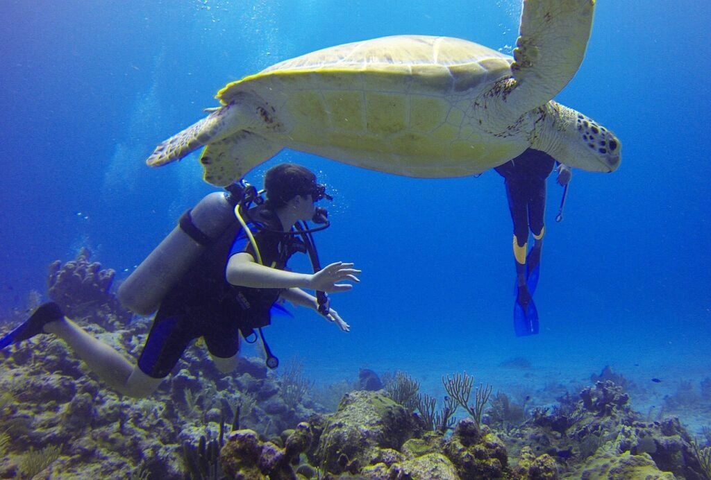A Diver’s Guide to Snoopy Island: Best Diving Conditions & Tips