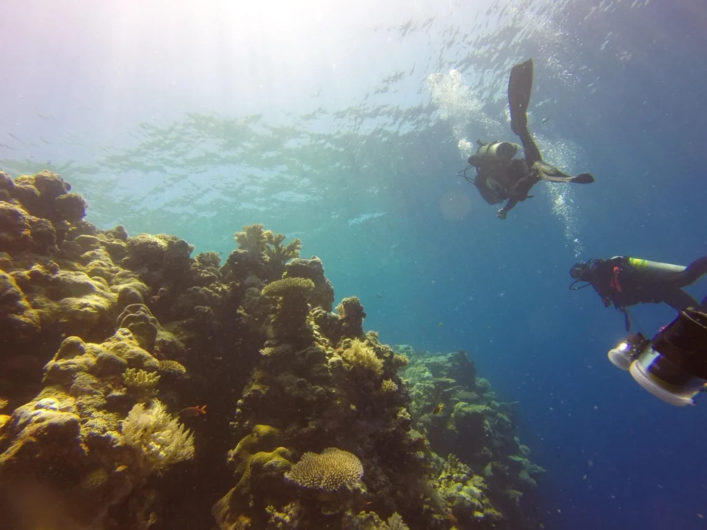 Tips for an Unforgettable Dive at Snoopy Island