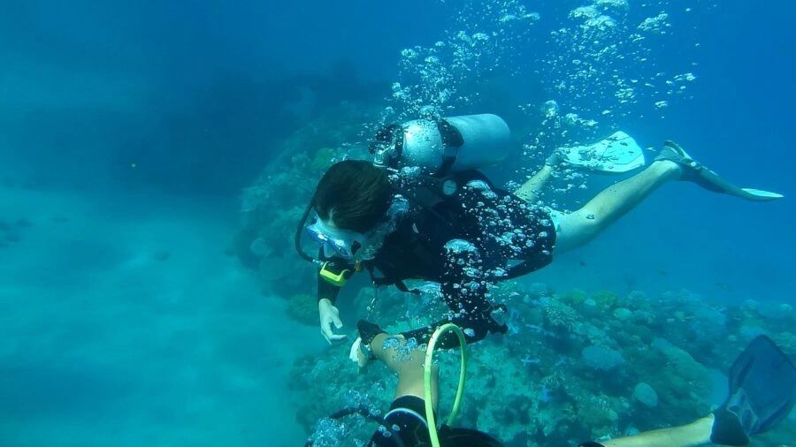 The Importance of a Scuba Refresher: Why You Should Brush Up on Your Skills