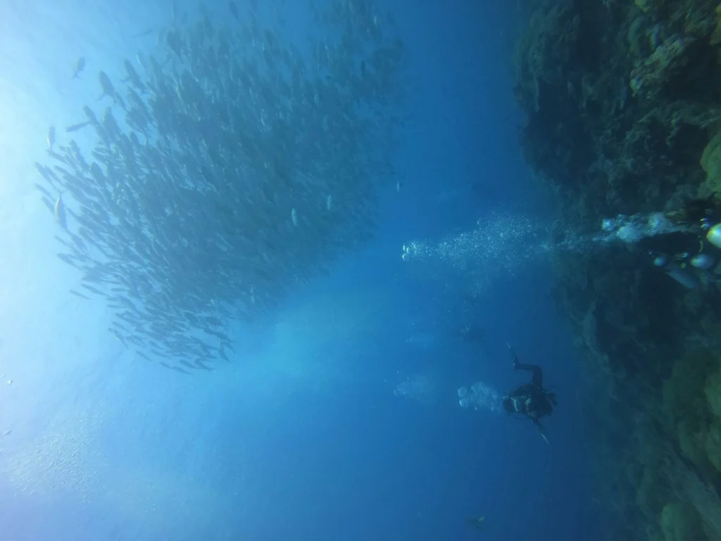How to Know You’re Ready for the PADI Rescue Diver Course