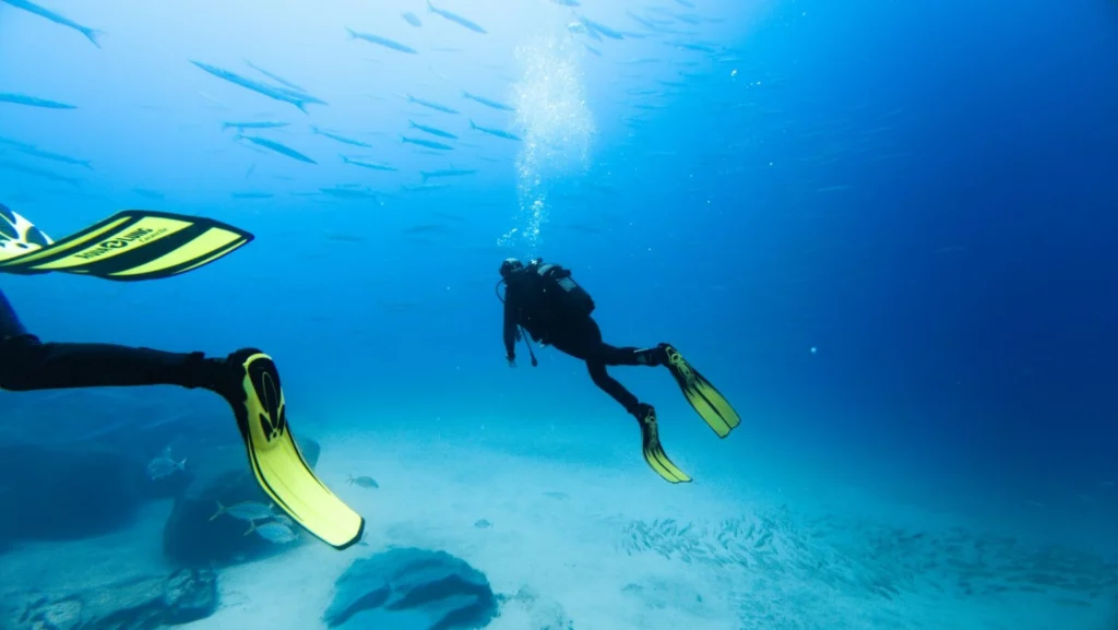 What Is the PADI Rescue Diver Course and Why Should You Take It?